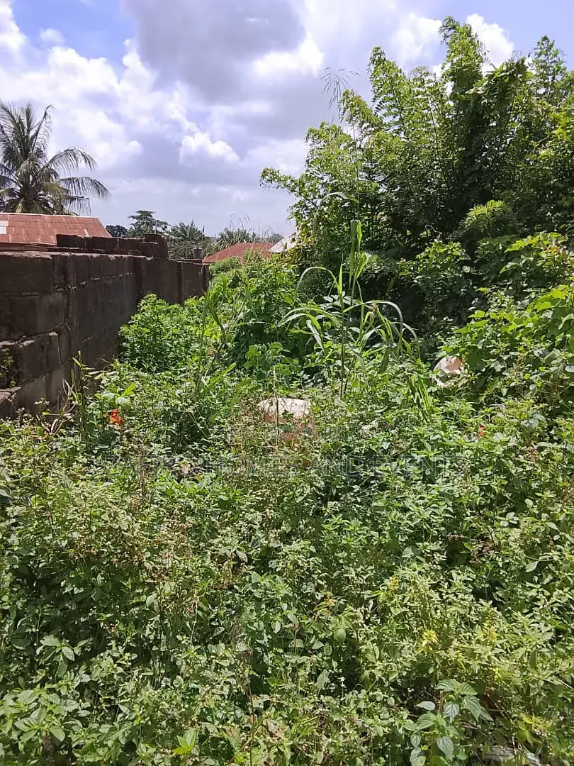 Prime Roadside Land for Sale – Apata, Ibadan in Apata