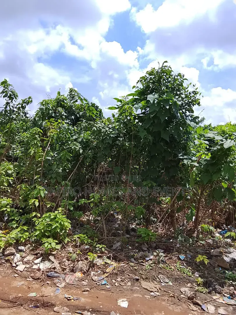 Prime Roadside Land for Sale – Apata, Ibadan in Apata