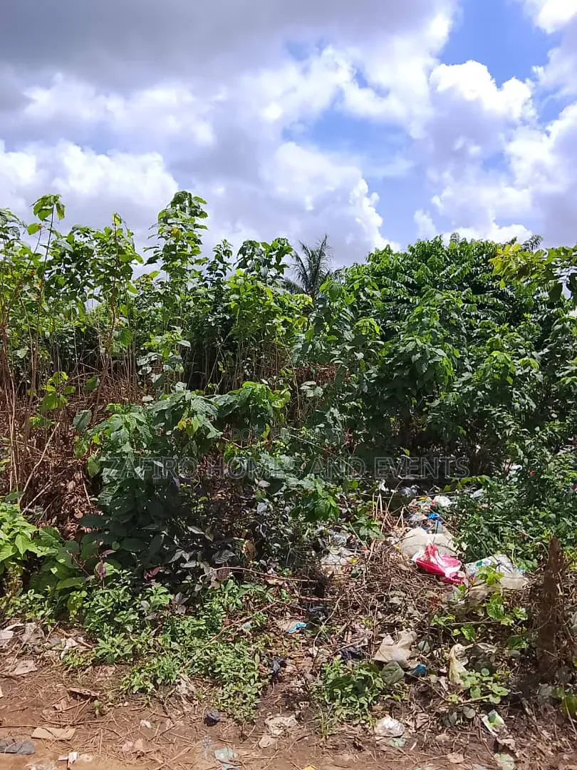 Prime Roadside Land for Sale – Apata, Ibadan in Apata
