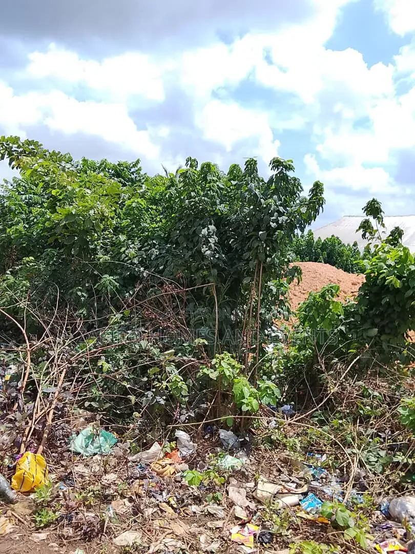 Prime Roadside Land for Sale – Apata, Ibadan in Apata