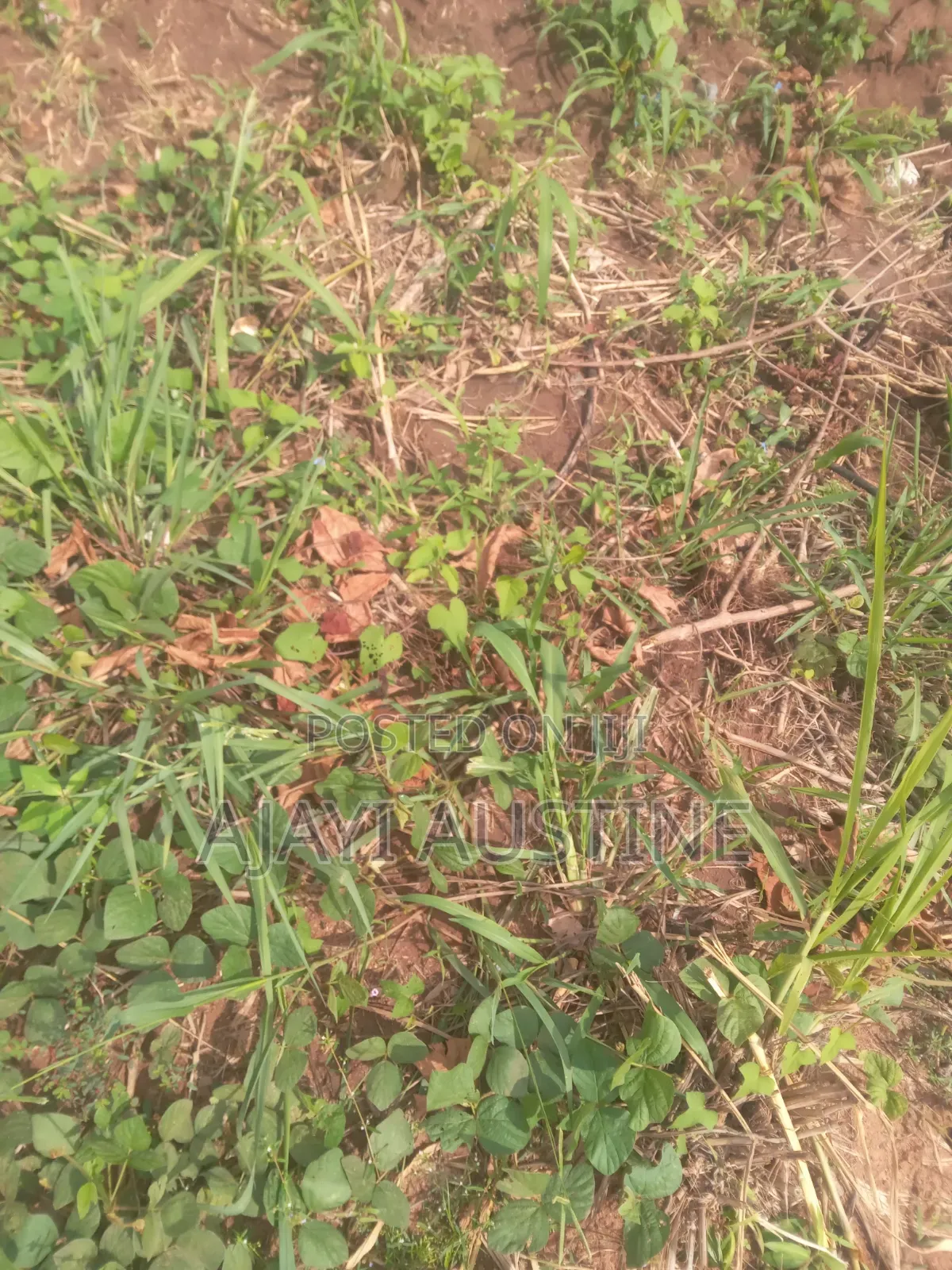 100 Hectares Land at Idu Industrial Area for Sale in Idu Industrial