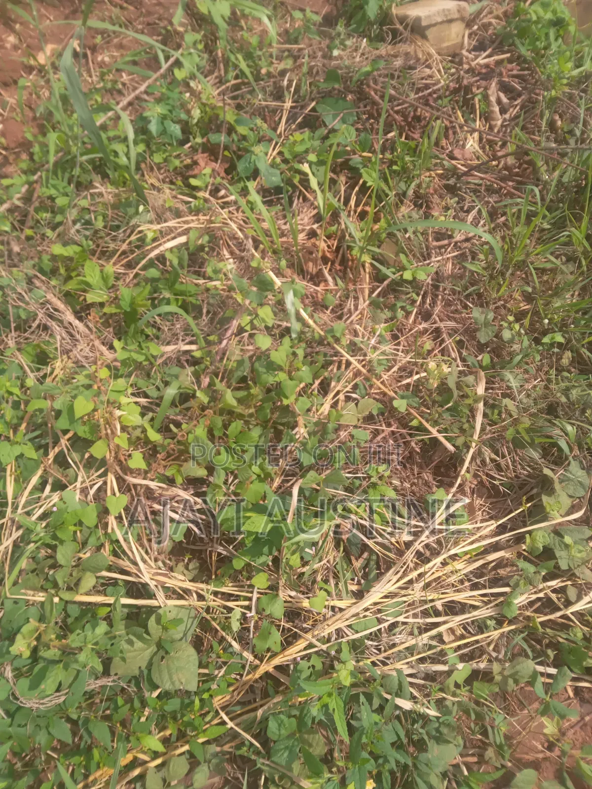 100 Hectares Land at Idu Industrial Area for Sale in Idu Industrial