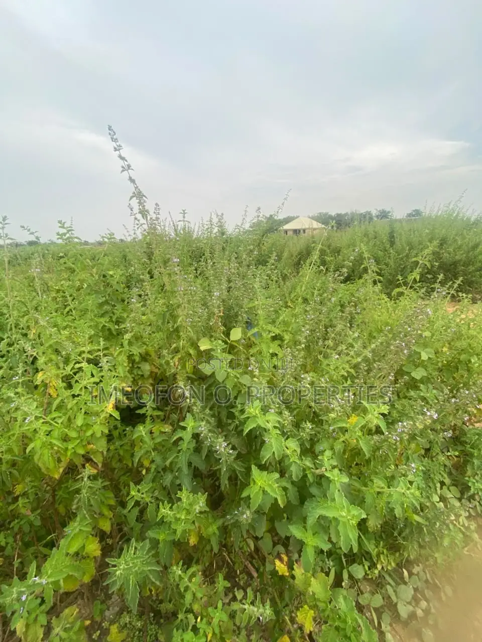 Land for Sale at Maitama Main Table and Fence Plot. in Maitama