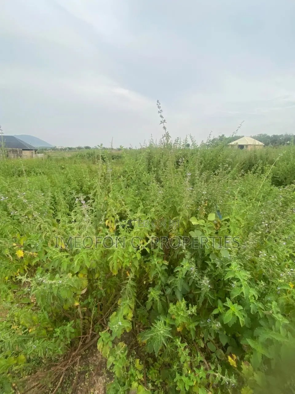 Land for Sale at Maitama Main Table and Fence Plot. in Maitama