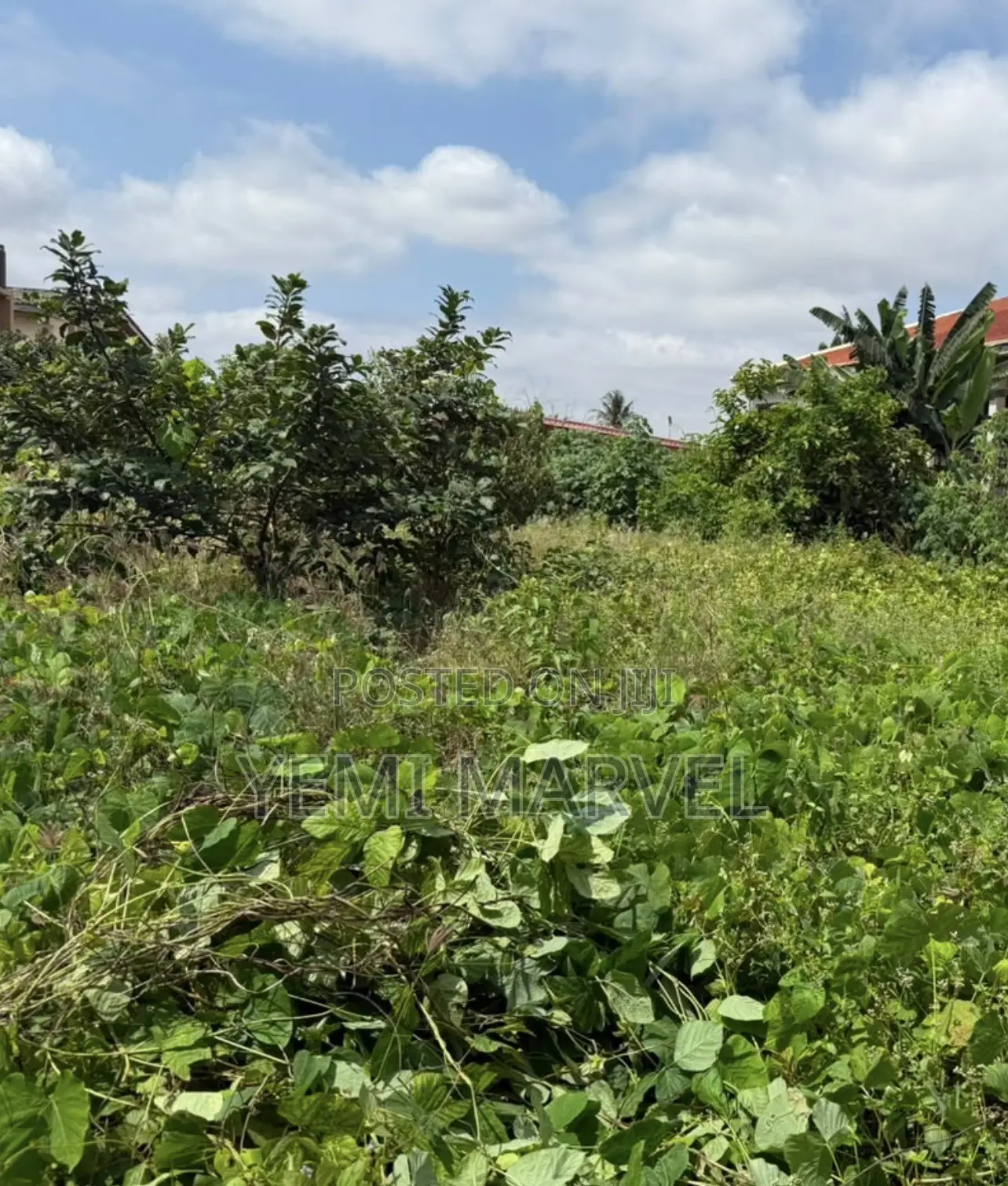 Fenced and Gated Land Measuring 993sqm at Oluwo Nla, New Bodija in Bodija