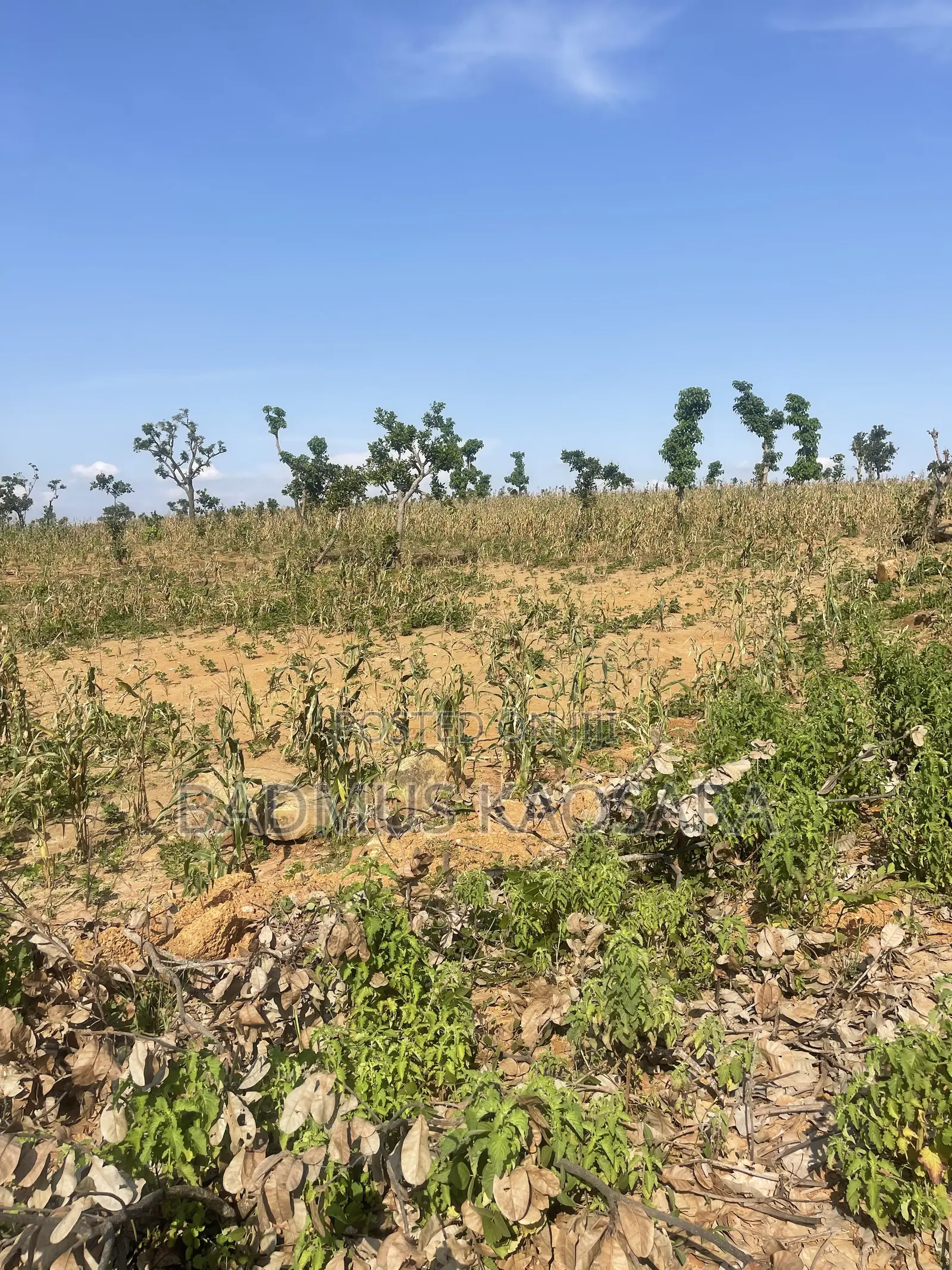 350SQM Est Land Ideal for 4 Bedroom Semi-Detached Penthouse With CofO in Guzape District