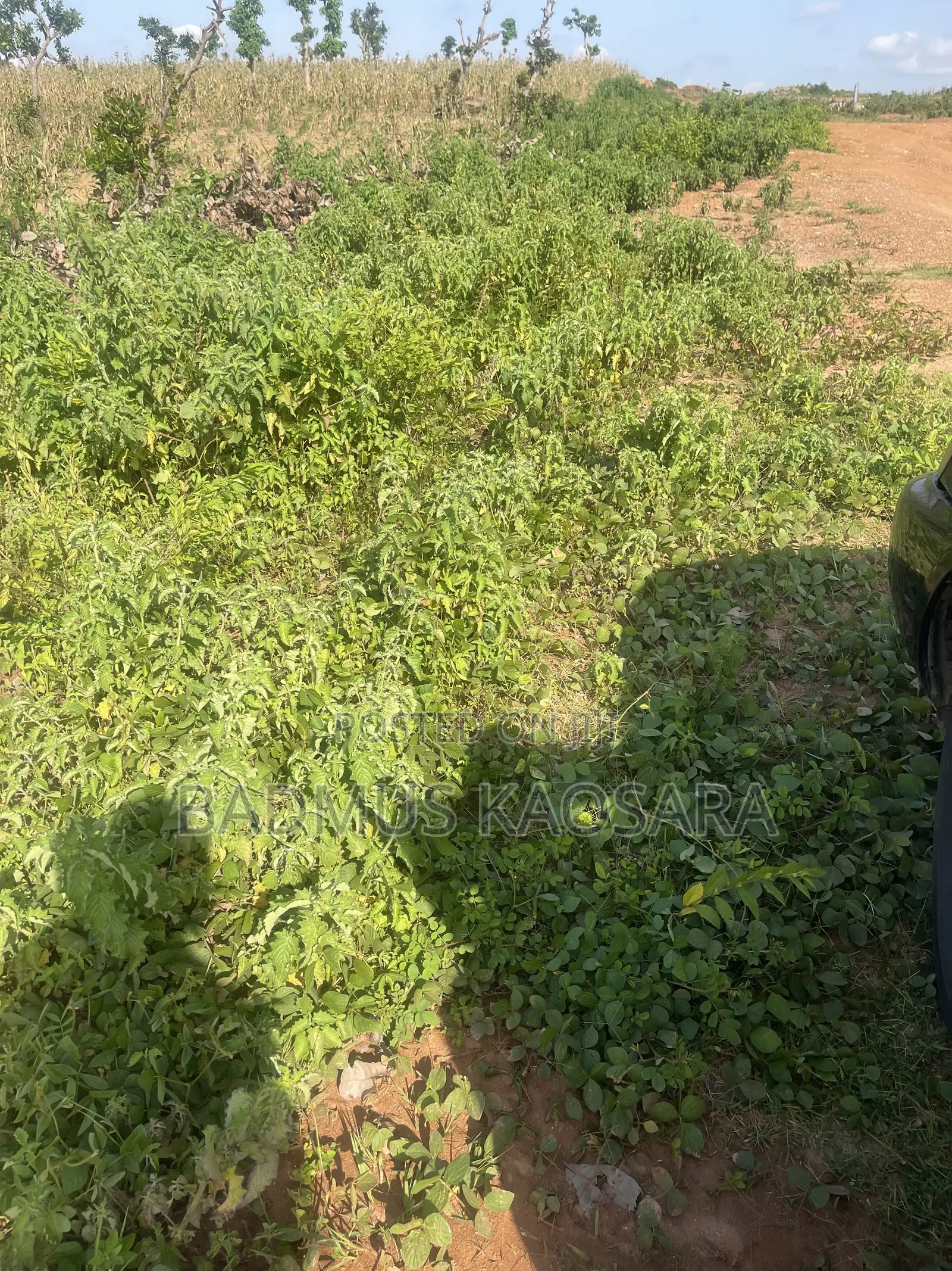 350SQM Est Land Ideal for 4 Bedroom Semi-Detached Penthouse With CofO in Guzape District