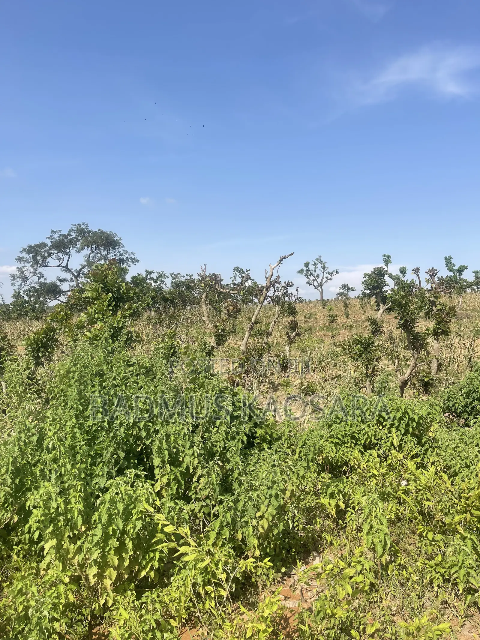 350SQM Est Land Ideal for 4 Bedroom Semi-Detached Penthouse With CofO in Guzape District