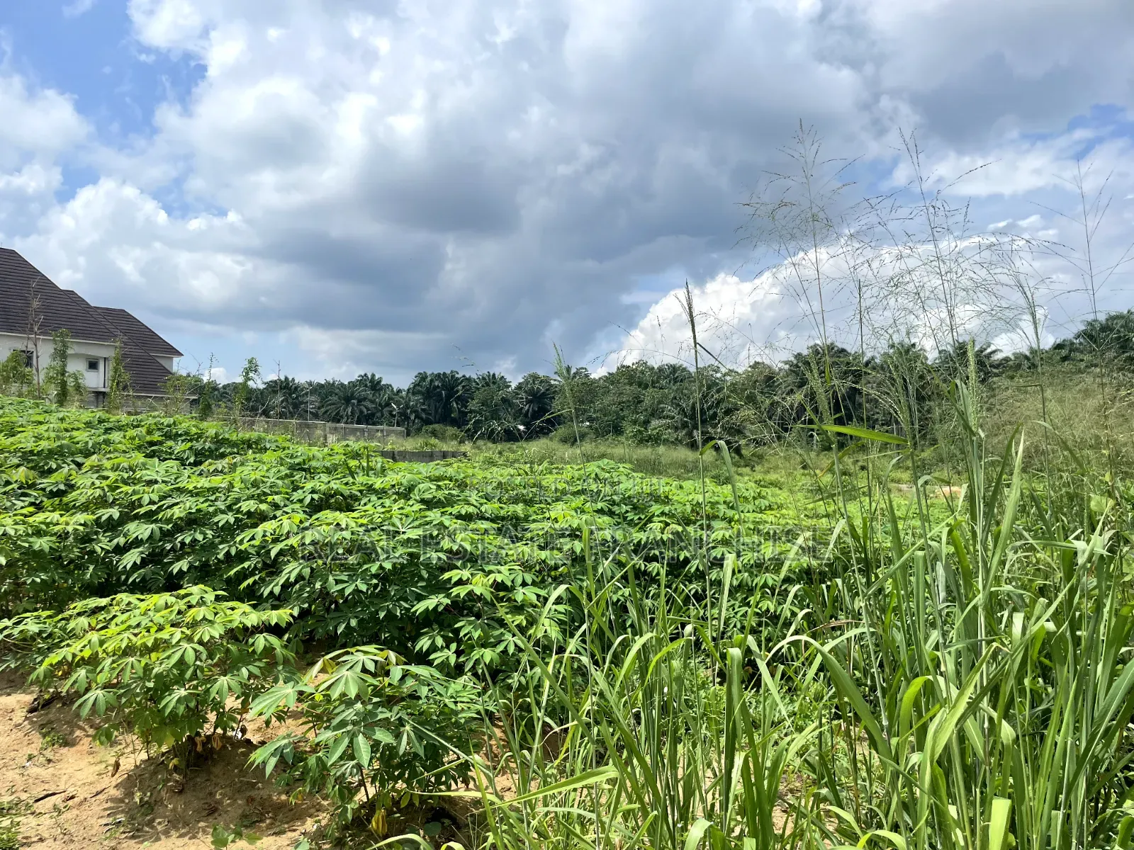1 Hectare of Land, in a Strategic Location in Uyo