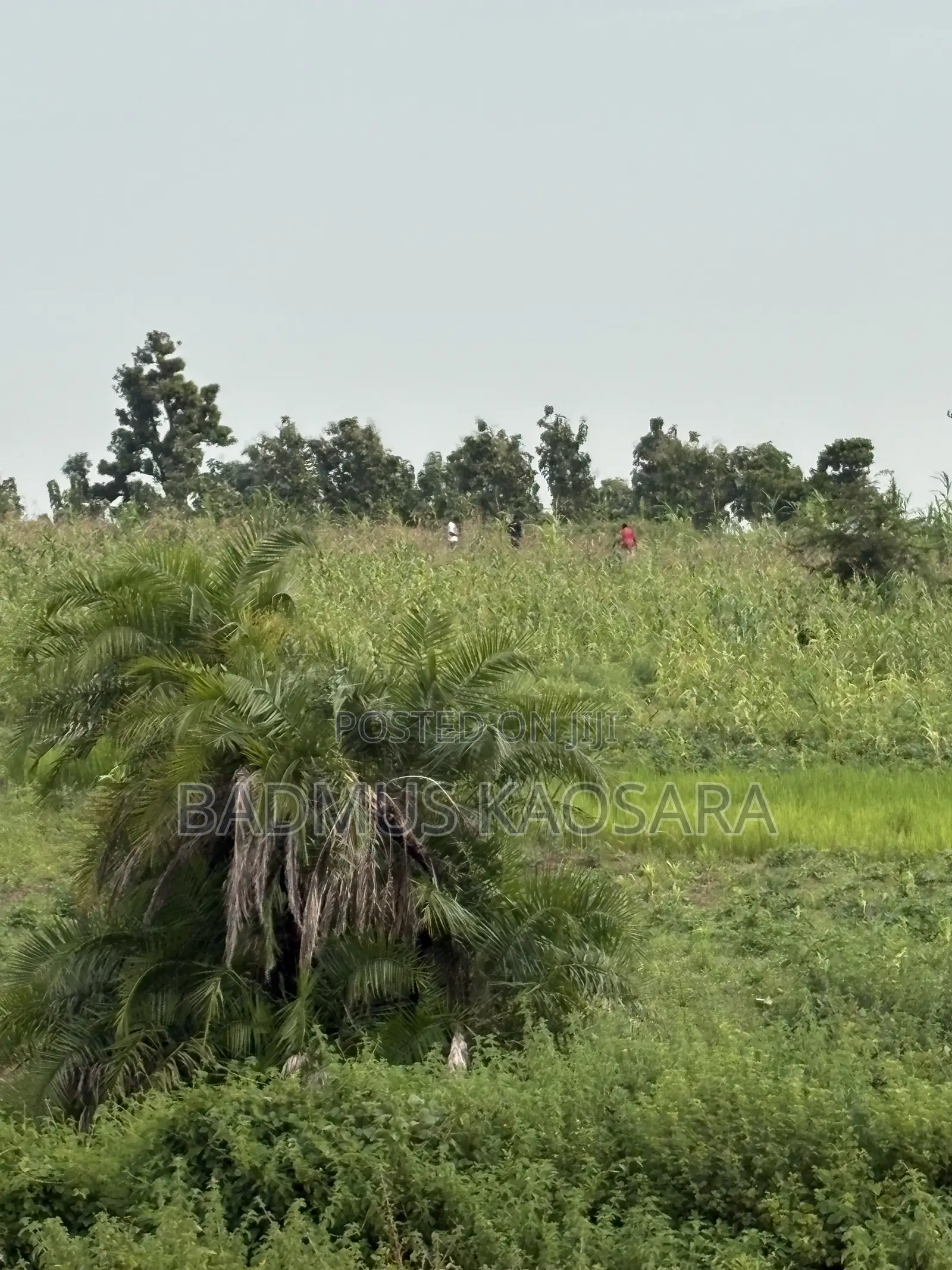 500SQM Estate Land Ideal for 5 Bedroom Detached Duplex With R of O in Idu