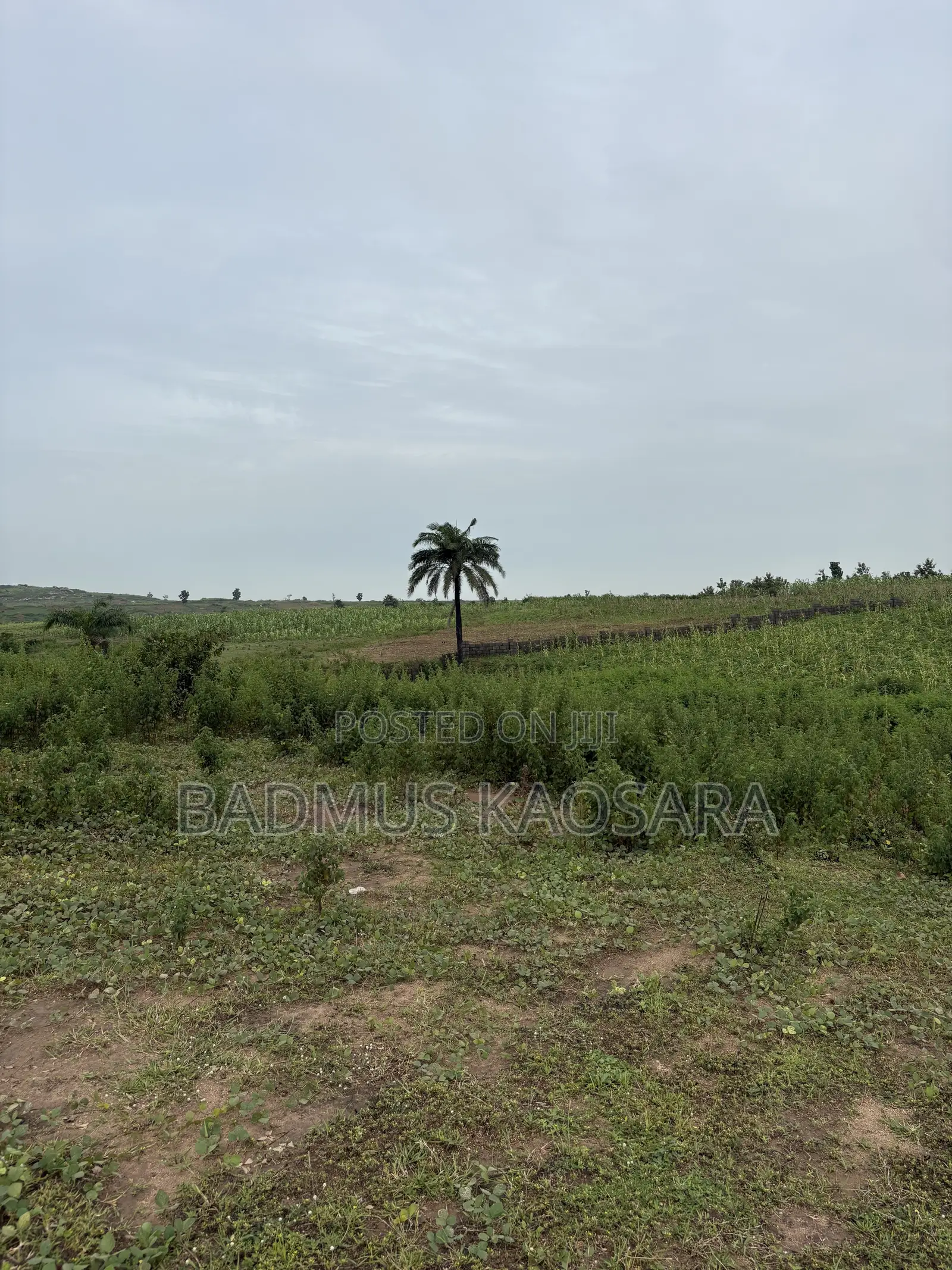 250SQM Estate Land Ideal for 4 Bedroom Terrace Duplex With R of O in Idu