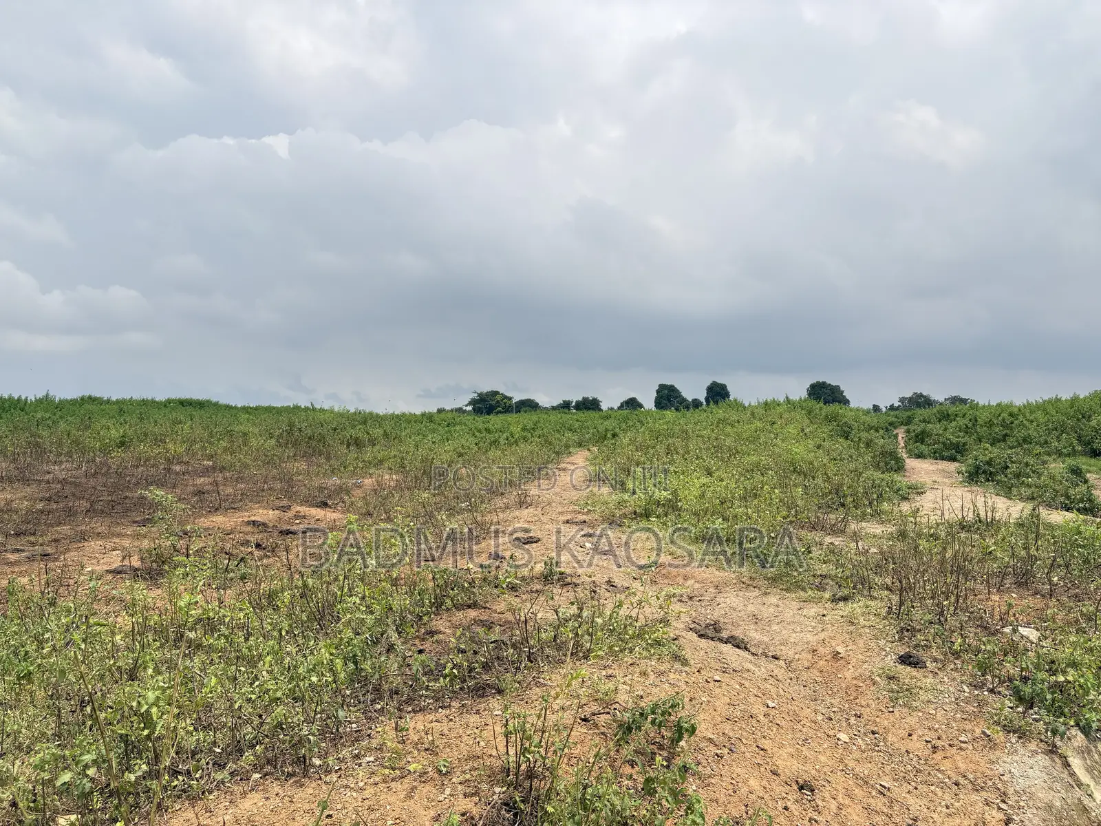 500SQM Estate Land for 5 Bedroom Detached Duplex With R of O in Karsana