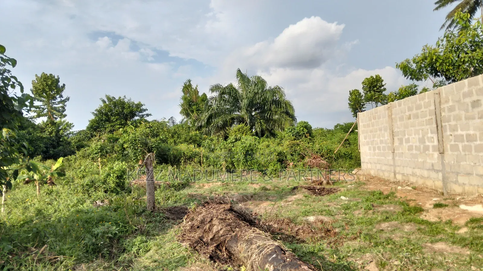For Sale : Half (1⁄2) Plot at New Layout Elikpokpodu Rukpokwu Ph in Rukpokwu