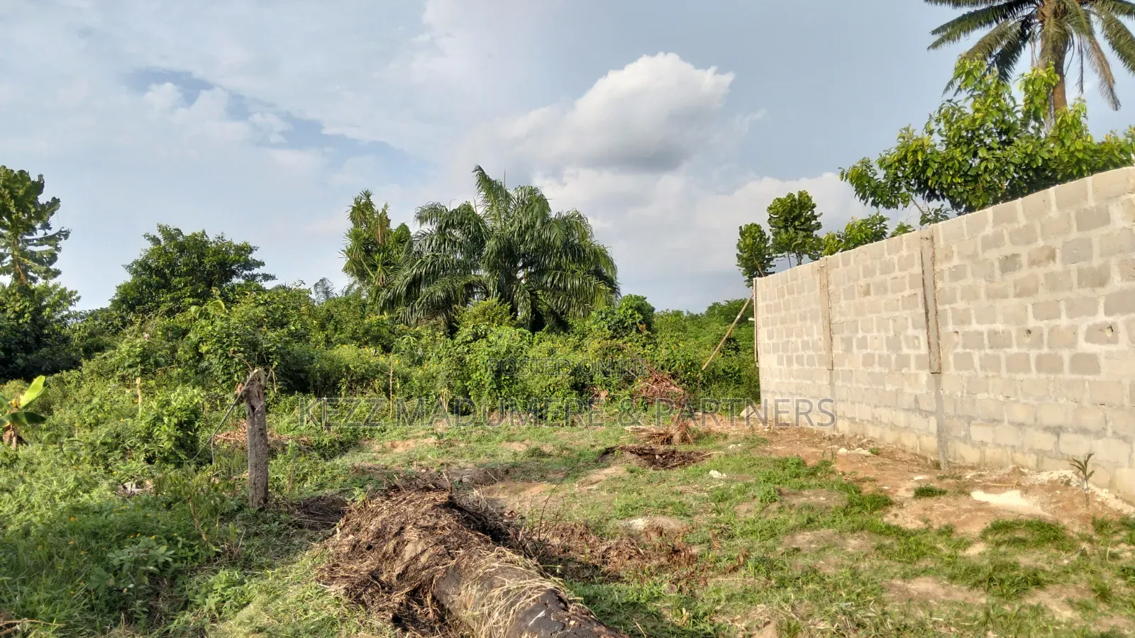 For Sale : Half (1⁄2) Plot at New Layout Elikpokpodu Rukpokwu Ph in Rukpokwu