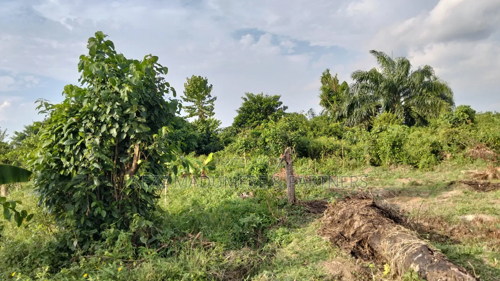 For Sale : Half (1⁄2) Plot at New Layout Elikpokpodu Rukpokwu Ph in Rukpokwu