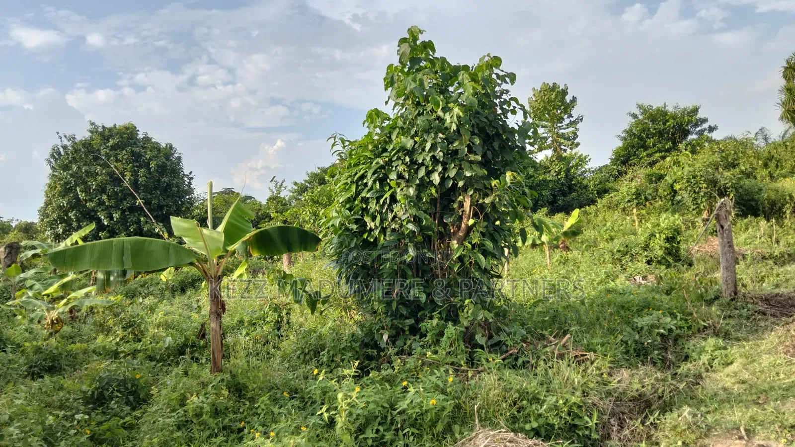 For Sale : Half (1⁄2) Plot at New Layout Elikpokpodu Rukpokwu Ph in Rukpokwu