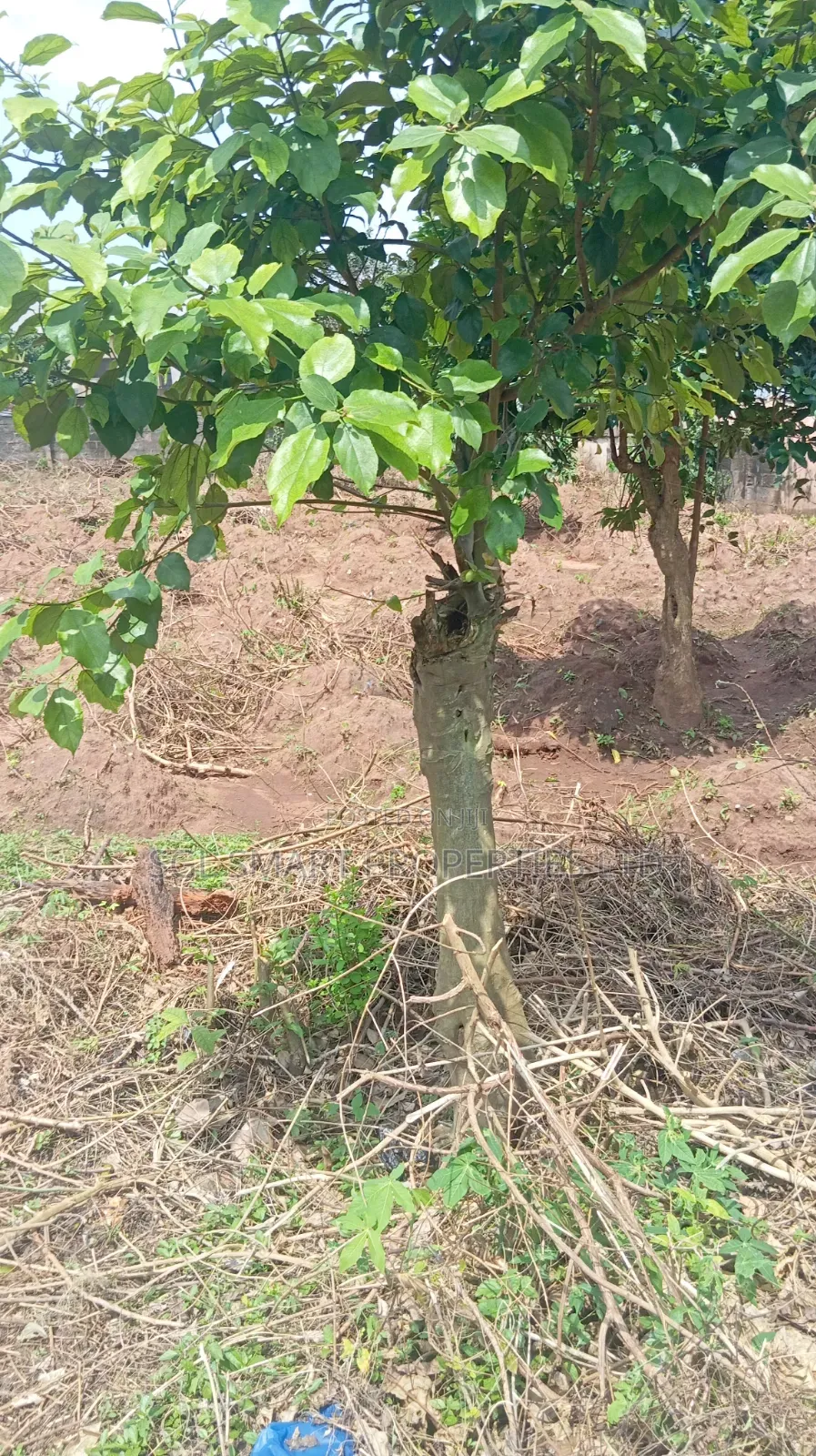 2 Plots Land for Sale at Amenyi in Awka