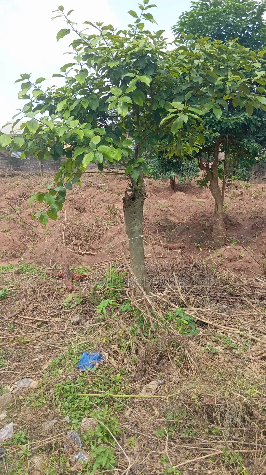 2 Plots Land for Sale at Amenyi in Awka