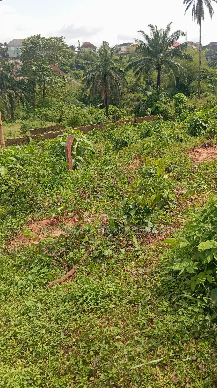 1 and Half Plots for Sale at Amenyi Awka in Awka