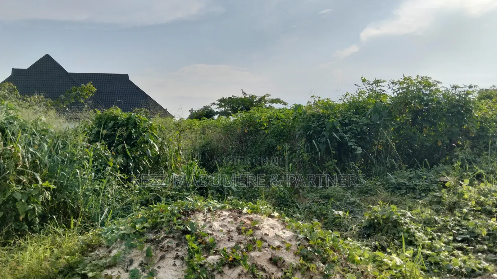 For Sale : 1 Plot at Igbogo Elikpokpodu Rukpokwu Port Harcourt in Rukpokwu