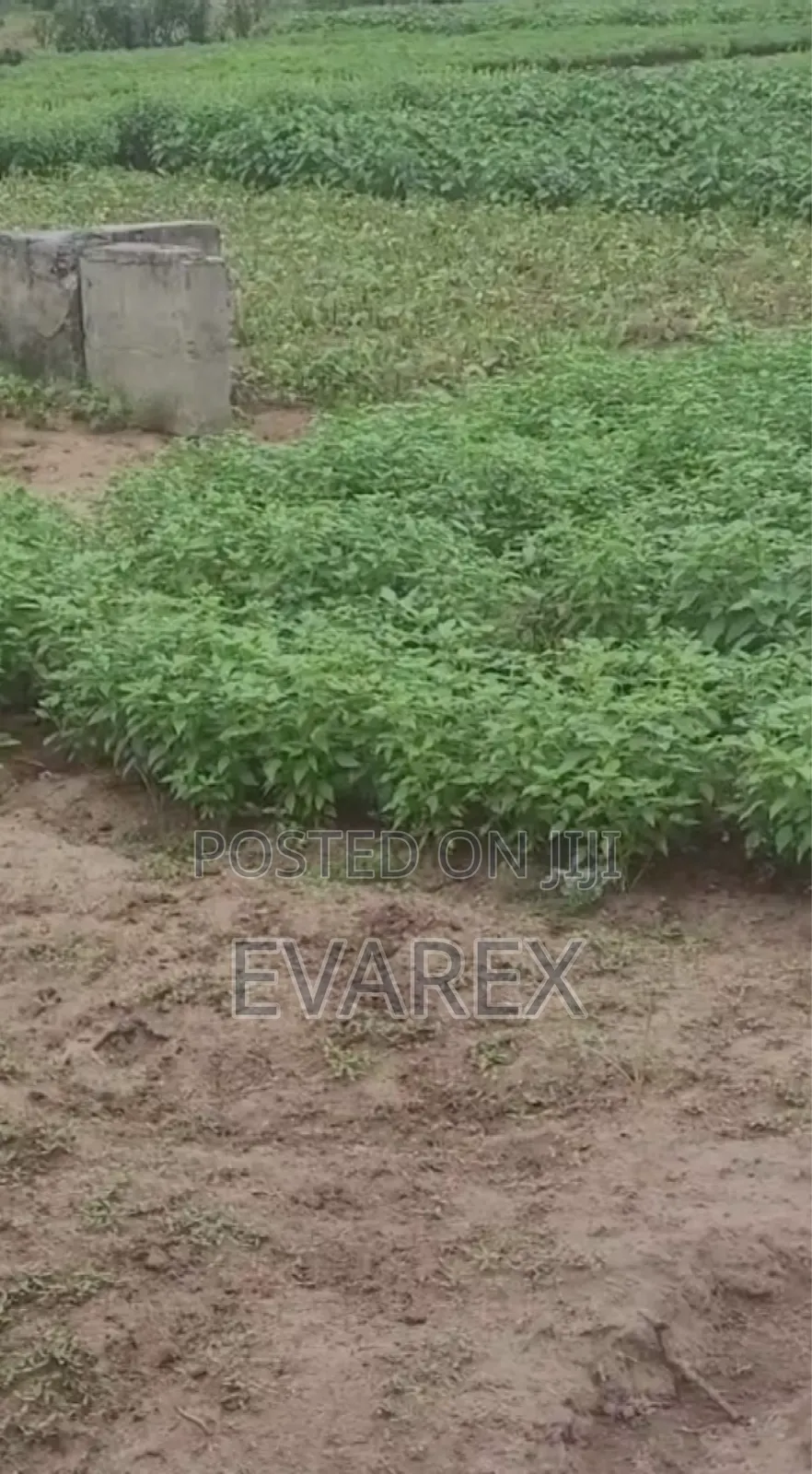 500sqr MTRS Land at Post Service Housing Estate in Iba / Ojo