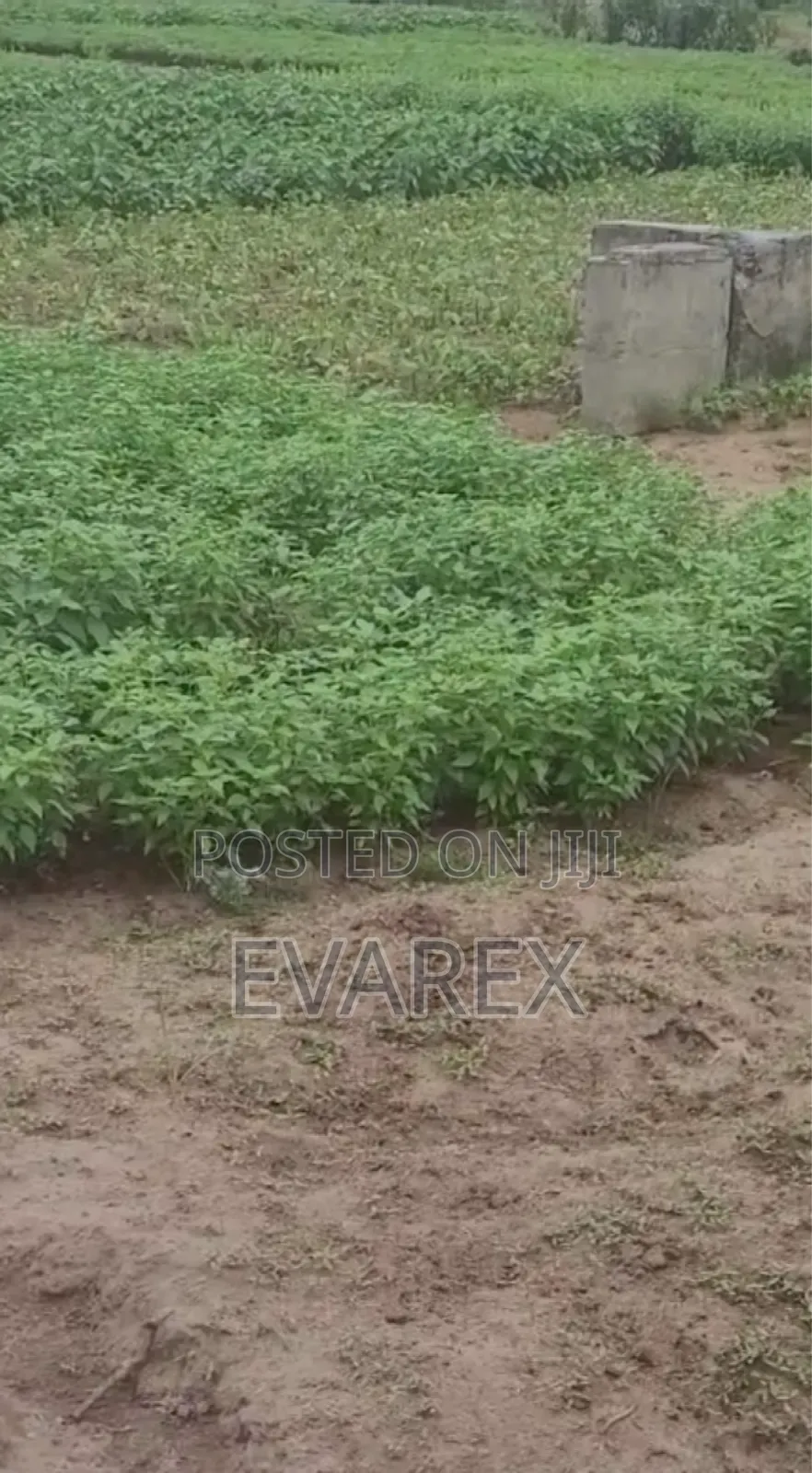 500sqr MTRS Land at Post Service Housing Estate in Iba / Ojo