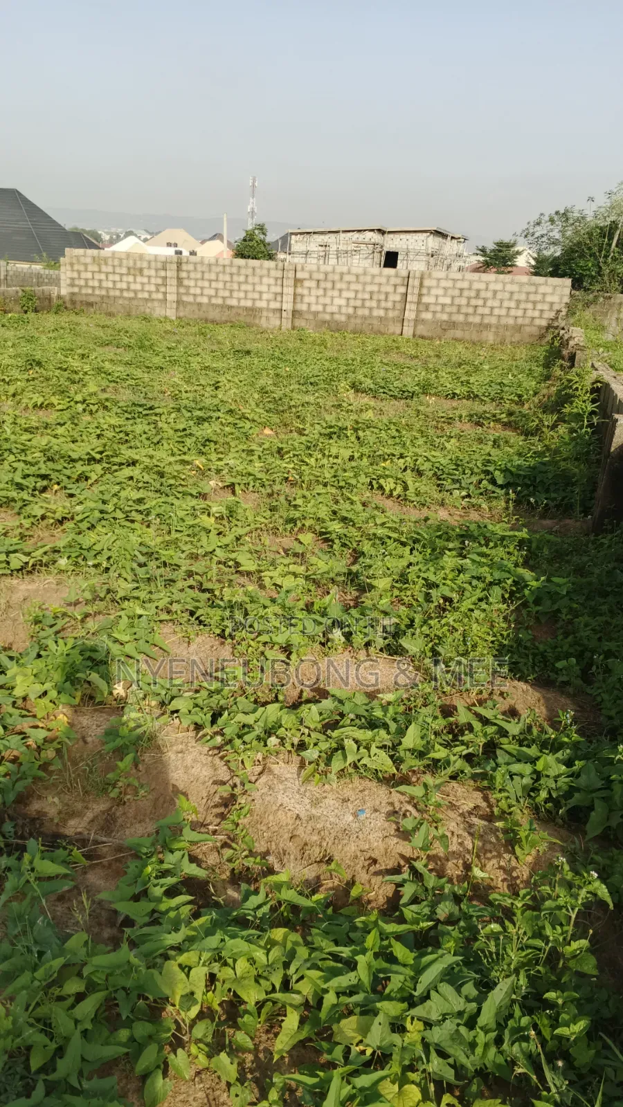 Virgin Estate Land for Sale in Karu