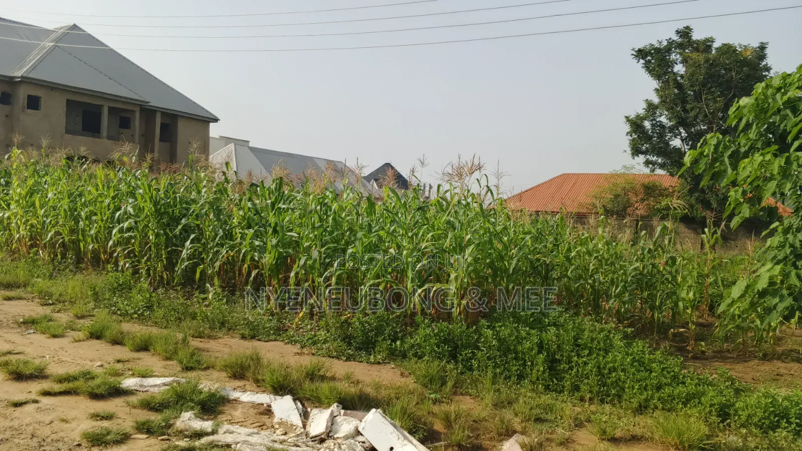 Best Land for Estate for Sale 1000sqm. in Karu