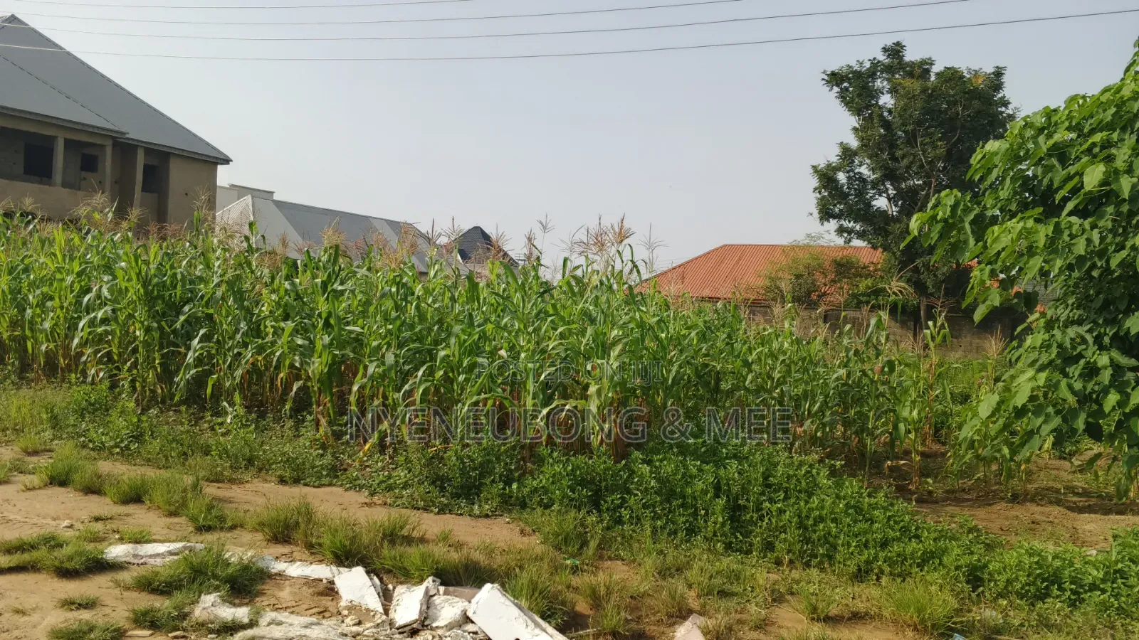 Best Land for Estate for Sale 1000sqm. in Karu
