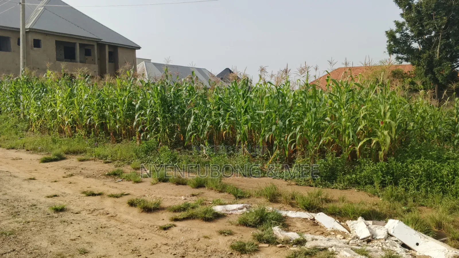 Best Land for Estate for Sale 1000sqm. in Karu