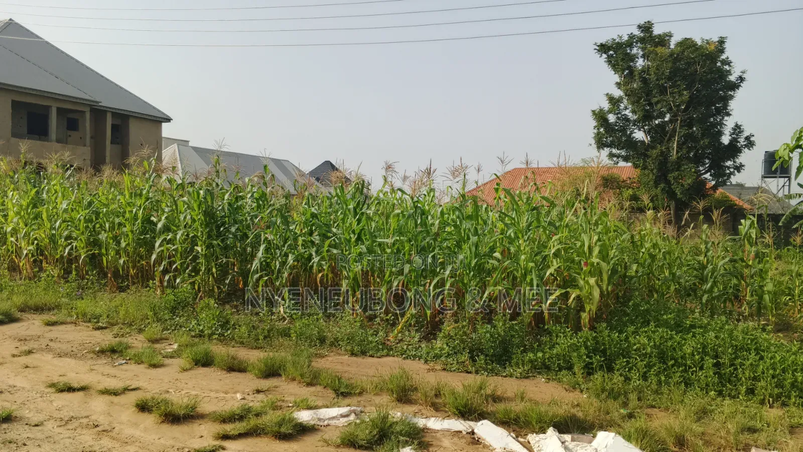 Best Land for Estate for Sale 1000sqm. in Karu