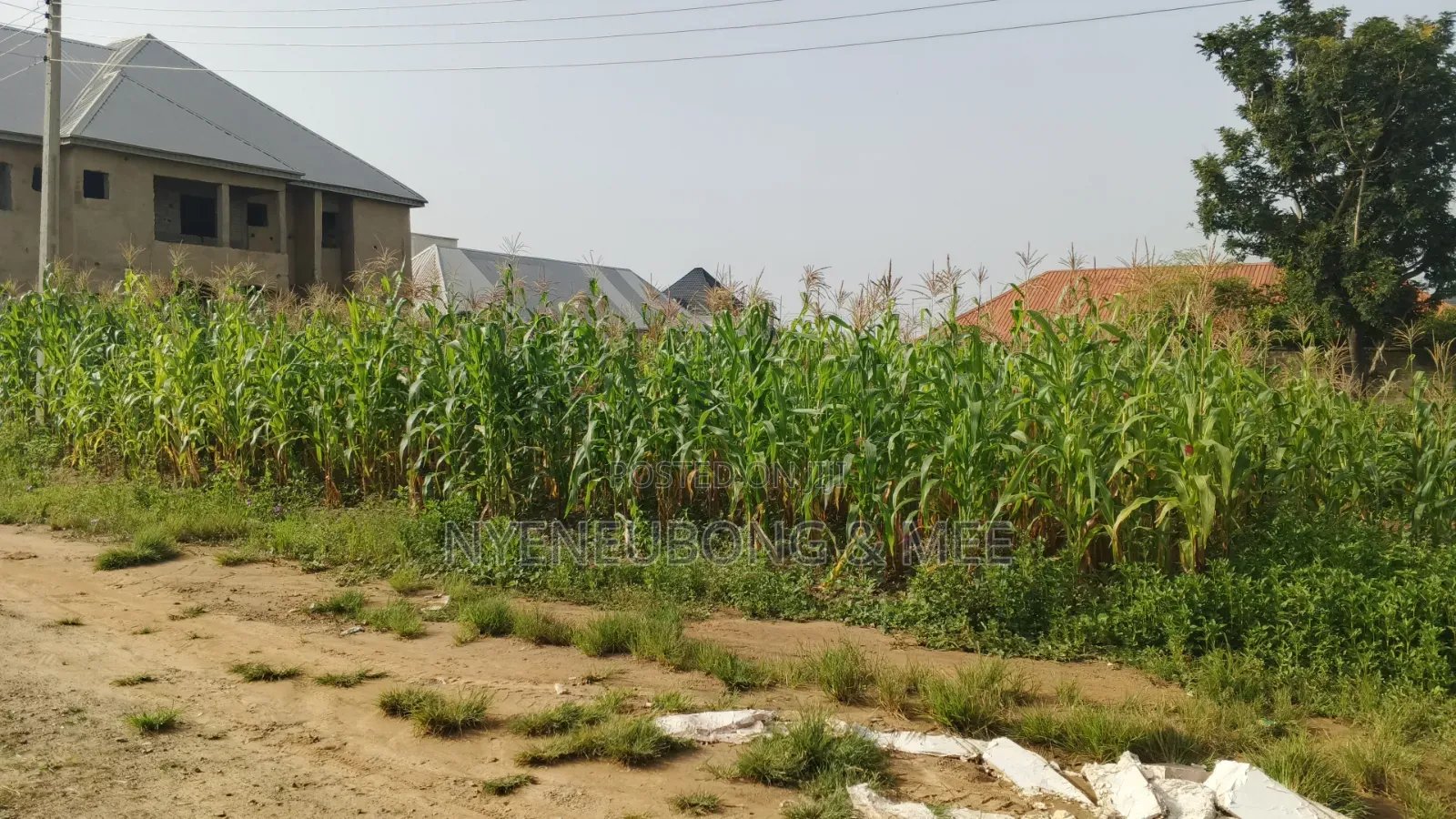 Best Land for Estate for Sale 1000sqm. in Karu