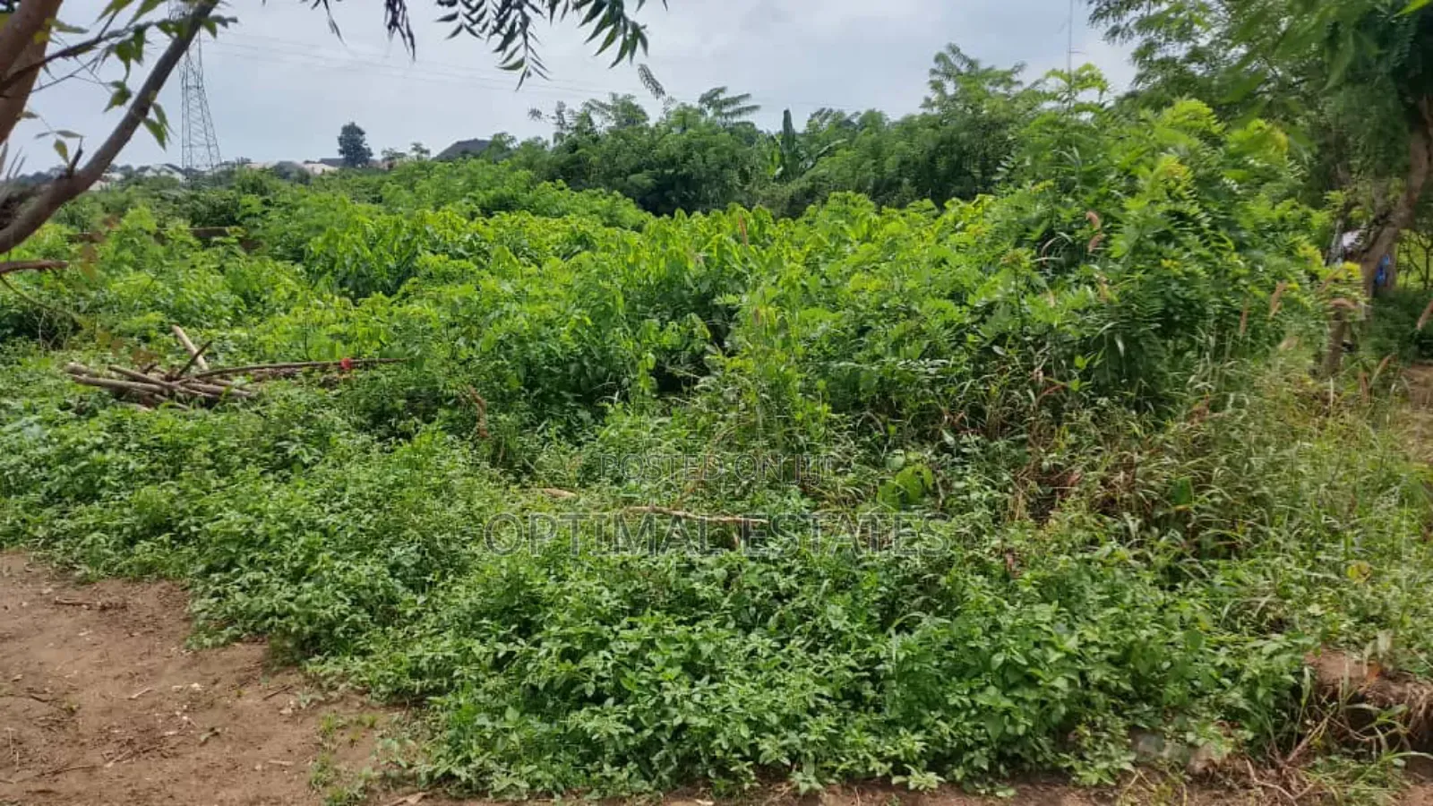 Land for Sale in Moniya