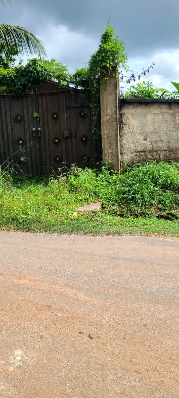 2 Plot of Land for Sale in Umuahia, Price 55 Million in Umuahia