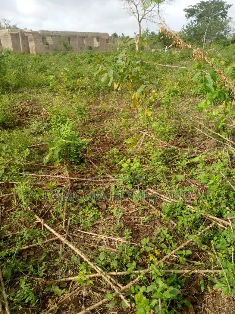 Prime 4 Plots of Land for Sale in Ido in Ido