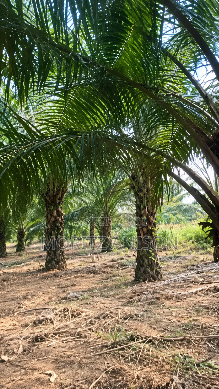 840sqm of Land for Sale in Enugu