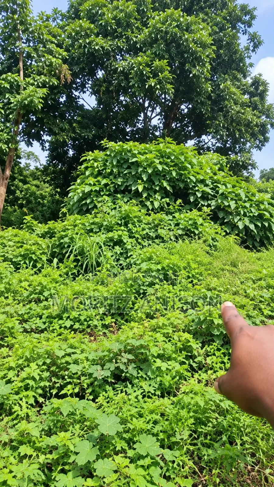 One and Half Plot of Land 860 SQM in Enugu