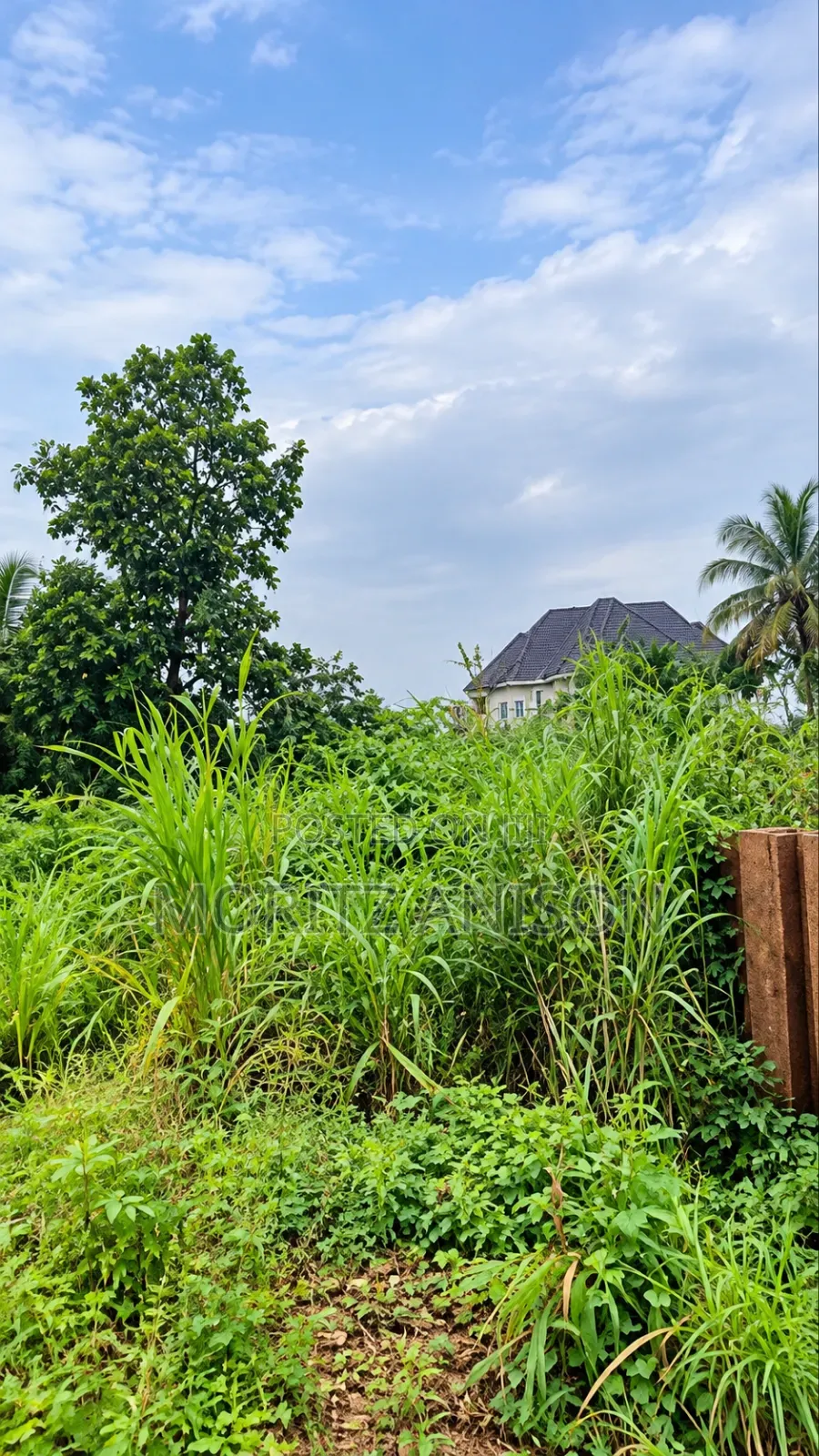 Land for Sale Kporoko Layout Trans-Ekulu, Enugu. in Enugu