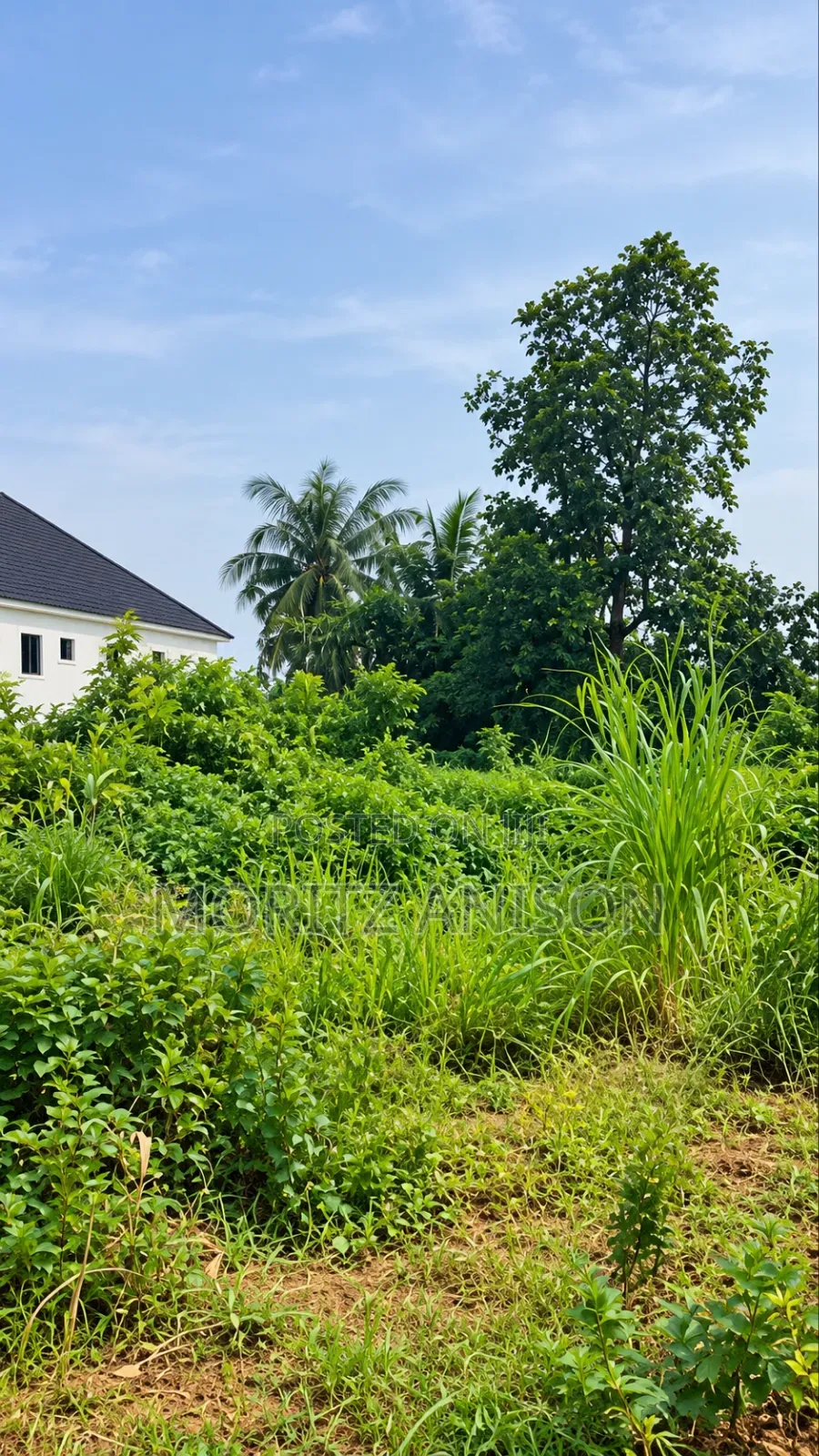 Land for Sale Kporoko Layout Trans-Ekulu, Enugu. in Enugu