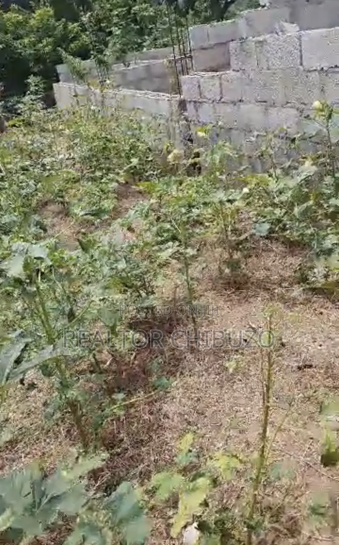 1000sqm Behind CBN Estate Karu - 120mill in Karu