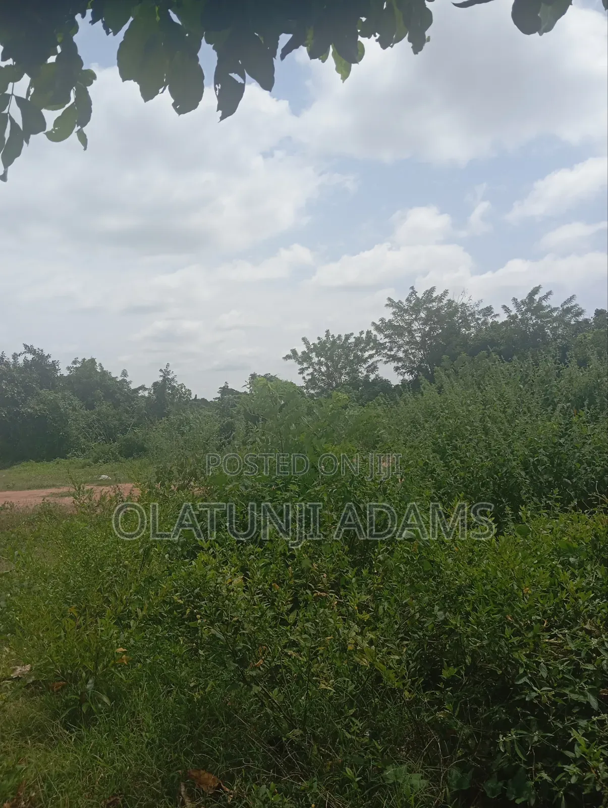 100acres Prime Land for Sale at Alajue Ede in Osogbo