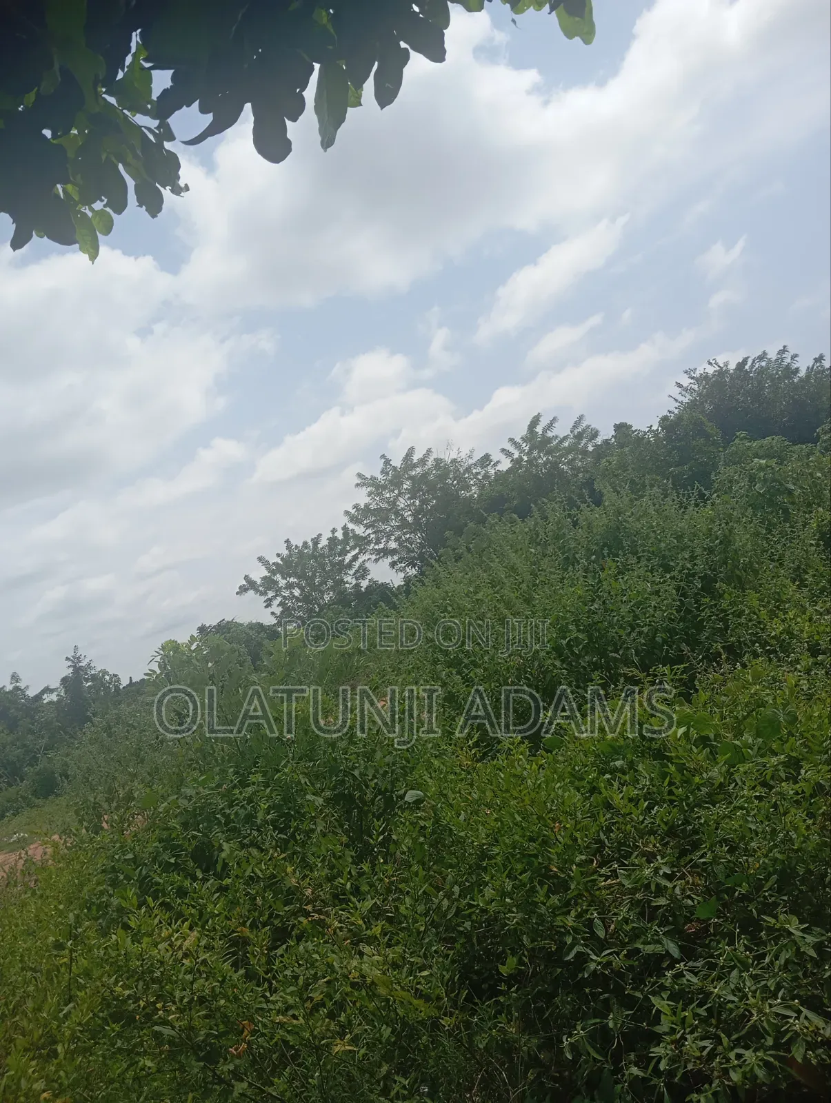 100acres Prime Land for Sale at Alajue Ede in Osogbo