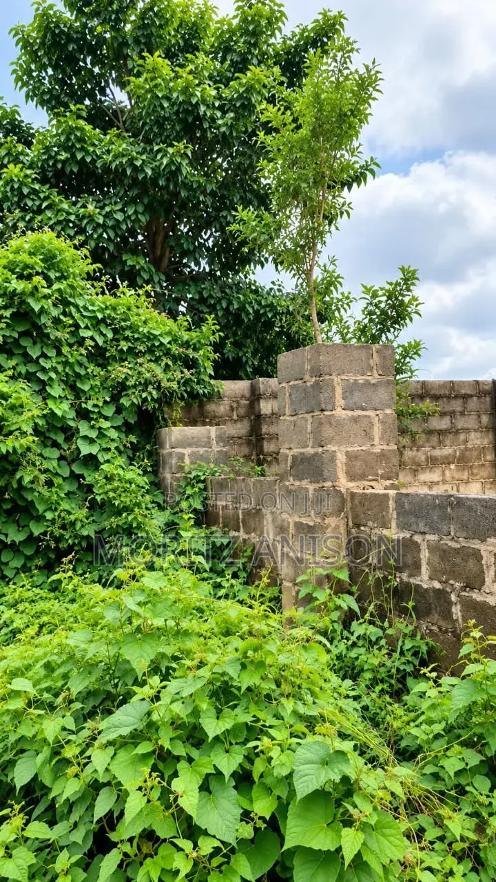 For Sale! Trans-Erodrome Layout Phase 2, Adoration Road, Emene, Enugu. in Enugu