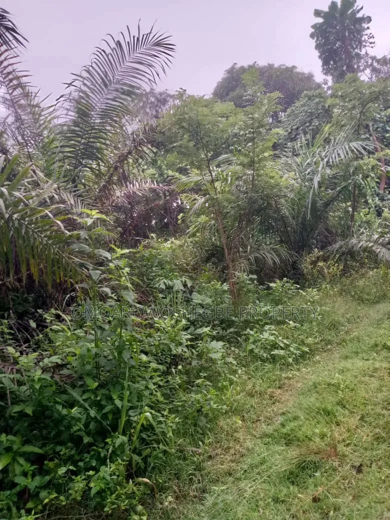 Farmland Close to Main Road in Akure