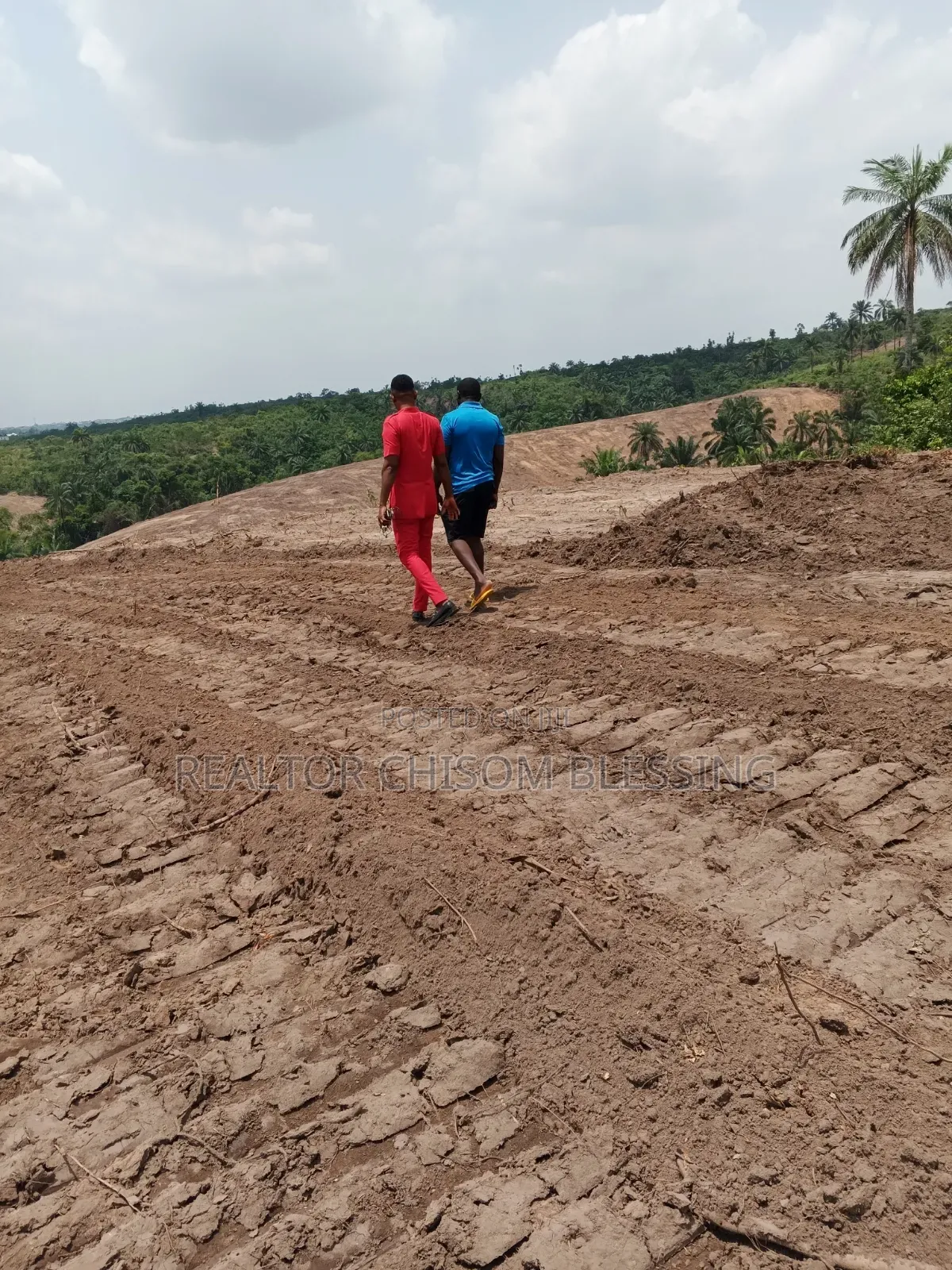 20 Plots for Sale in Nsukwe Old Umuahia Abia State in Umuahia