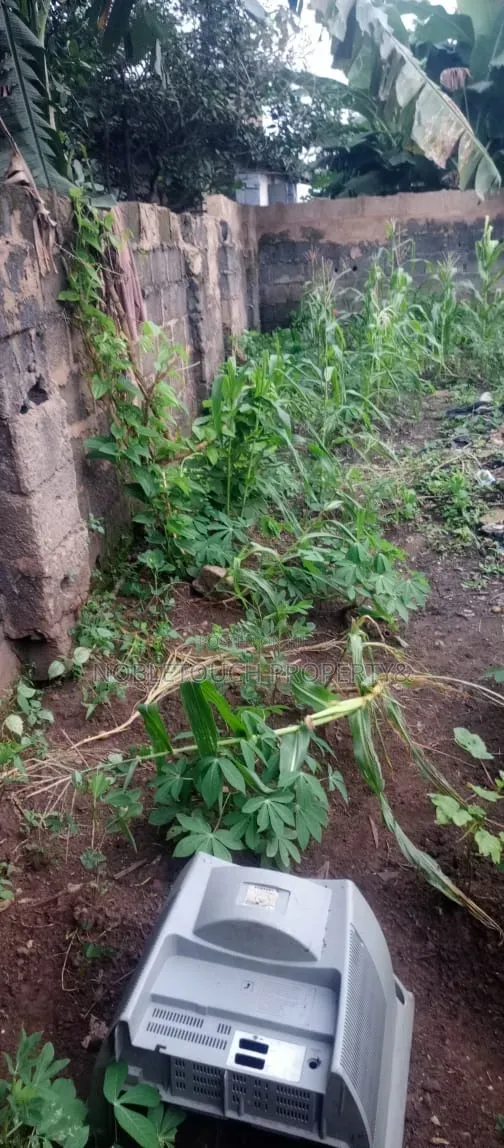 8bdrm Bungalow in Ifo Ogun State for sale in Ifo