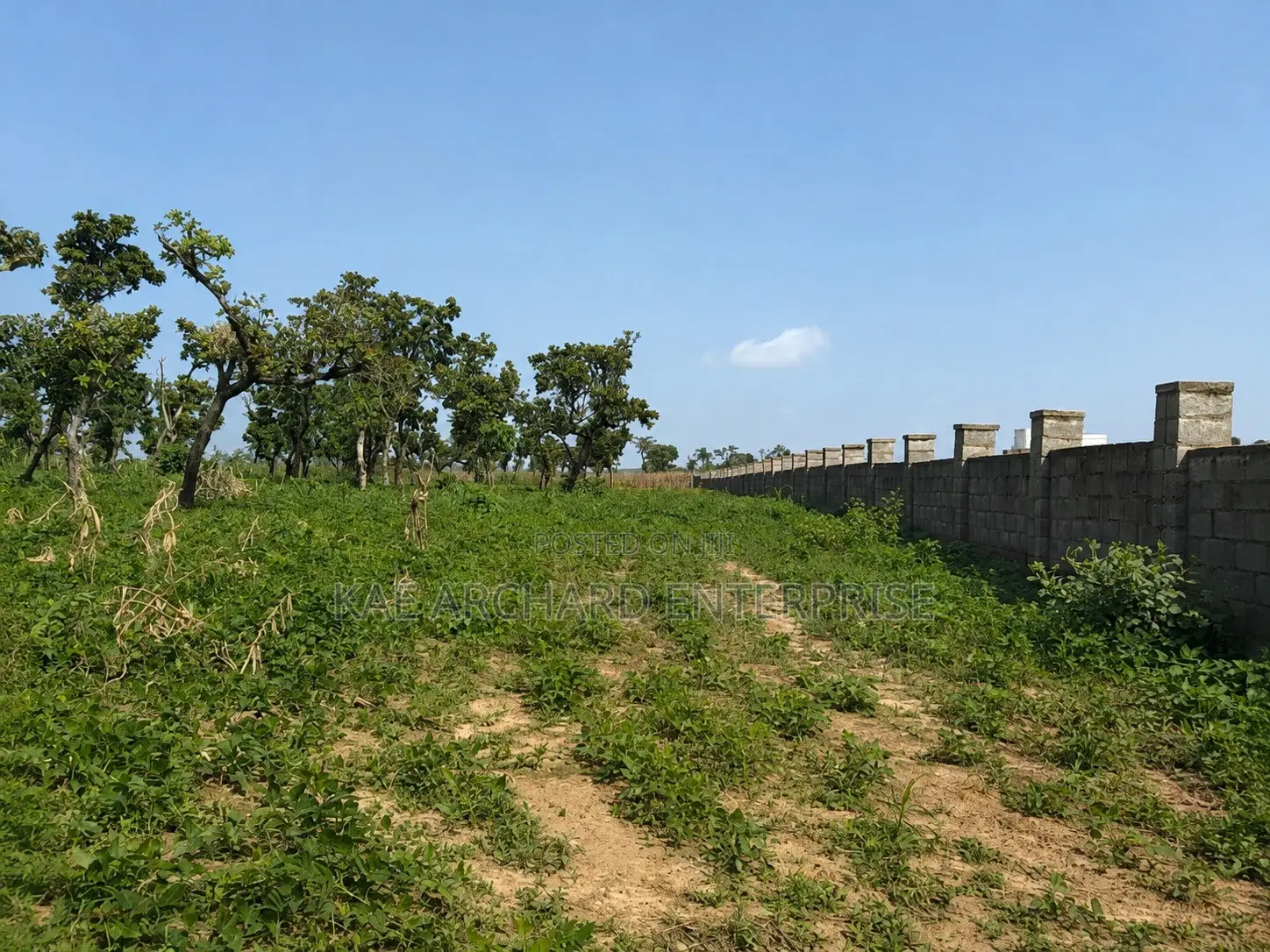 Comprehensive Land for Sale in Kabusa