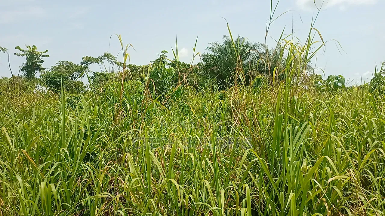 Property for Sale in Benin City