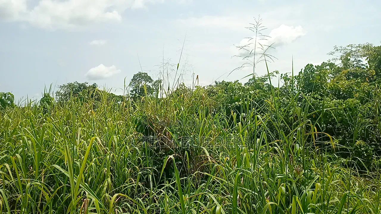 Property for Sale in Benin City
