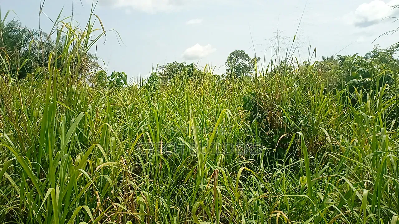Property for Sale in Benin City